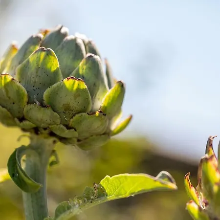 West Point House Ξενοδοχείο Barrow-in-Furness