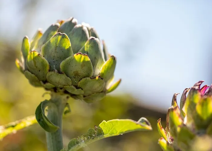 West Point House Hotel Barrow-in-Furness