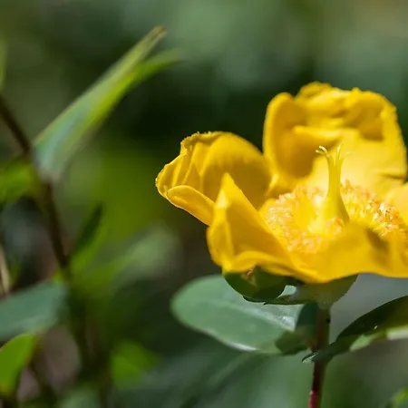 West Point House Barrow-in-Furness