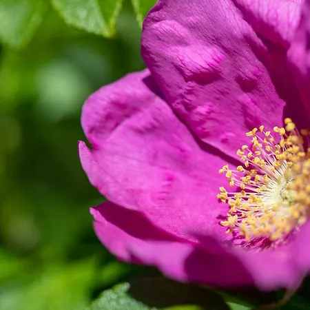 Hotel West Point House